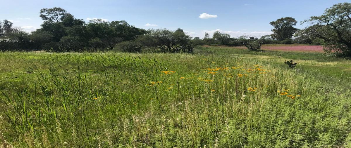 Foto de terreno habitacional en venta en  , el llano [cereso], el llano, aguascalientes, 0 No. 03